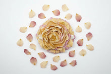 Decorative Floral Peony Soap Bar